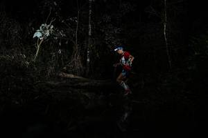 BIB: 
                            <button type="button" onclick="openModal(22433884)" class="btn btn-primary btn-sm float-right btn-popup" data-toggle="modal" data-target=".modal-high-quality">
                        <i class="fas fa-shopping-cart"></i> Add to Cart
                    </button>
                                            <button type="button" onclick="isThisMe(22433884, true)" class="btn btn-success btn-sm float-right btn-popup btn-isme hidden" data-toggle="tooltip" data-placement="bottom" title="นี่คือรูปของคุณใช่ไหม คลิกที่นี่เพื่อเอาเข้าอัลบั้ม">
                        <i class="fas fa-plus"></i> Add to album
                    </button>
                    <button type="button" onclick="isThisMe(22433884, false)" class="btn btn-warning btn-sm float-right btn-popup btn-isnotme hidden">
                        <i class="fas fa-ban"></i> Remove from album
                    </button>